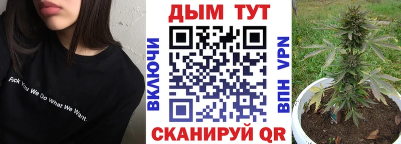 Каннабис MAZAR Кохма